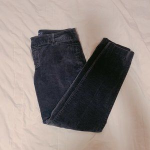 Old Navy Blue "Velvet" Pant